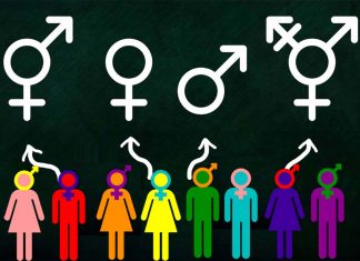 A new theory of gender dysphoria