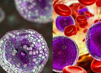 Researchers have discovered new generation of drugs to fight multiple types of leukemia and lymphoma