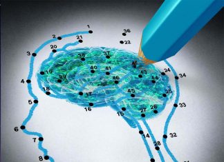 Lifestyle and environment may play a key role in the development and progression of Alzheimer’s disease