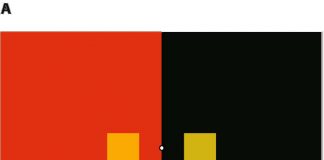 Metamers – physically distinct stimuli that generate the same perceptual effect