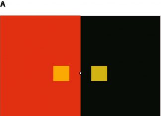 Metamers – physically distinct stimuli that generate the same perceptual effect