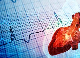 New way to predict which patients with stable heart failure have a higher risk of dying within one to three years
