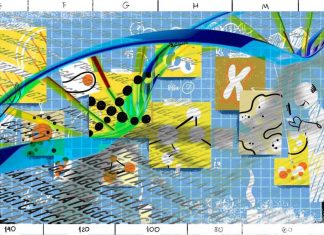 A cell’s identity can be described solely by the genes it expresses