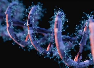 Alterations in new regions of non-coding DNA may lead to cancer growth and progression
