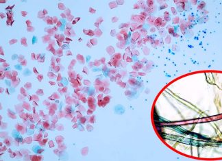 Microplastics are present in the air in London at higher abundances than any other major city