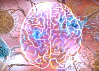The accumulating amyloid occurred faster among persons with objectively-defined subtle cognitive difficulties (Obj-SCD)