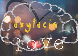 Oxytocin improves attachment issues in people with autism
