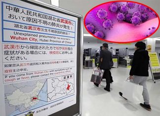 New outbreak of a mysterious SARS-like virus in China