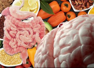 Short-chain fatty acid supplementation improves stroke recovery