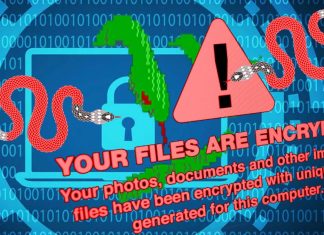 Snake Ransomware removes backup shadows copies and encrypt Windows files