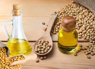 Soybean oil causes genetic changes in the brain