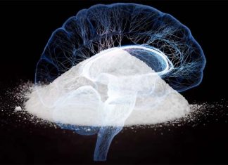 Sugar influences brain reward circuitry in ways similar to those observed when addictive drugs are consumed