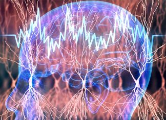 Targeted transcranial electrical stimulation during short-wave sleep can boost episodic memory by almost 20 percent
