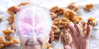 Walnuts help to protect against age-related cognitive decline