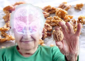 Walnuts help to protect against age-related cognitive decline