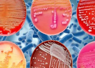 One of the biggest health threats around the world is antibiotic-resistant bacteria