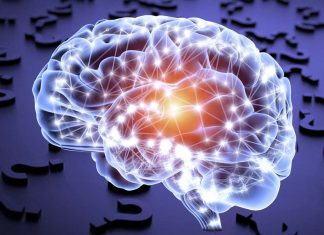 Researchers have discovered how the brain may generate imagined future scenarios