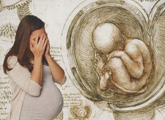 The developing fetal brain is linked to maternal stress and anxiety