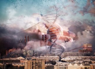 The early-life exposure to air pollution alters structure brain