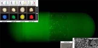 Researchers have created an edible “security tag” embedded into medicine to protect drugs from counterfeit