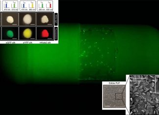 Researchers have created an edible “security tag” embedded into medicine to protect drugs from counterfeit