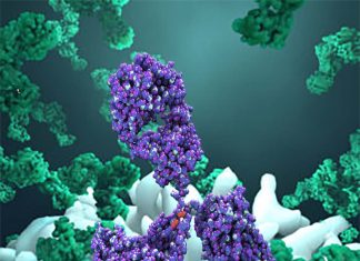 Study connects enterovirus A7 to a large outbreak of neurological illness in the US in 2018