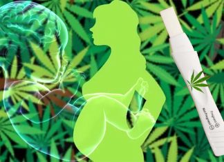 Researchers definitively shows that regular exposure to THC during pregnancy has significant impact on placental and fetal development
