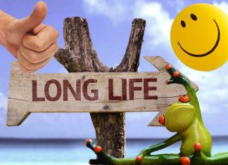 Discovered cellular mechanisms that could extend lifespan by 500 percent