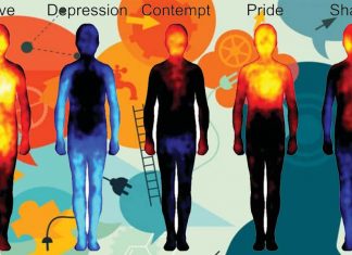 The human emotions is topographically located in the right temporoparietal junction