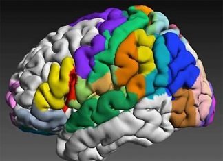 It’s impossible to create an universal map of the functional organization of the brain