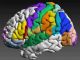 It’s impossible to create an universal map of the functional organization of the brain