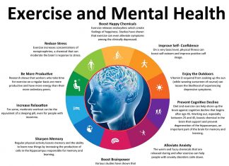 The physical and mental activity can counteract the neurodegenerative disease