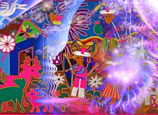 Researchers investigate how psychedelics can help us become more environmental responsibility