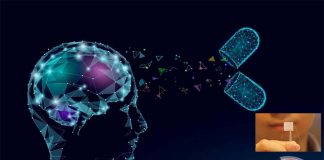Neuroengineers have developed a new way to transport vital medications to the brain