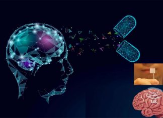 Neuroengineers have developed a new way to transport vital medications to the brain