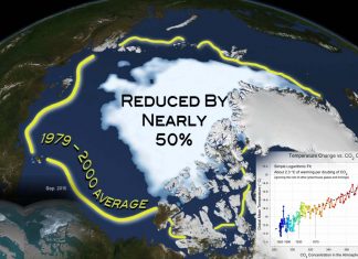 Arctic ice melt have effect of human-caused climate change