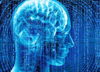 Brain training exercises do not help boost early math learning