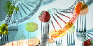 Calorie restricted diets reduce inflammation – delay the onset of age-related diseases – extend lifespan