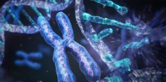 Chromothripsis events are common across many types of cancer
