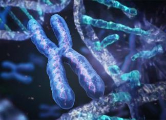 Chromothripsis events are common across many types of cancer