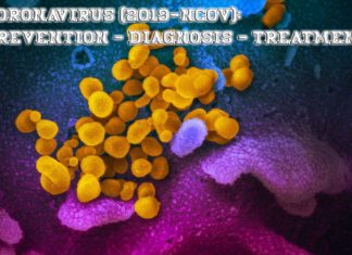 What nobody will ever tell you about Coronavirus (2019-nCoV): Prevention, diagnosis and treatment