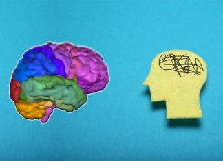 Functional neurological disorders (FND) and early childhood trauma are linked