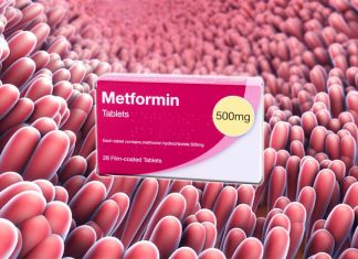 Metformin can help strengthen the intestinal lining