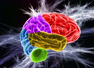 Multiple sclerosis – N-acetylcysteine treatments improve metabolism in brain