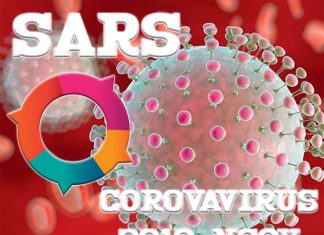 REPORT : What they hide us on the Coronavirus