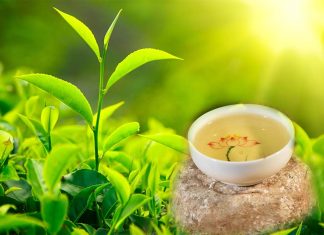 Green tea extract and exercise can reduce the severity of obesity-related fatty liver disease