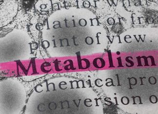 Simple fat droplets as key regulators in the complex process of metabolism