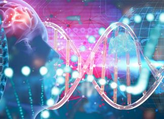 A research revealed the genetic origins of schizophrenia