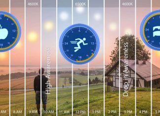 The impact of time of day on circadian rhythms