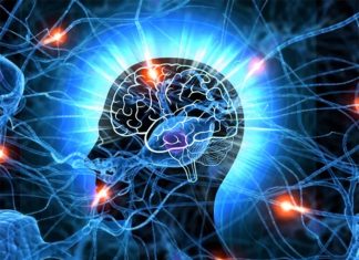 Activating group 2 innate lymphoid cells in aging brains helps improve memory